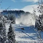 Schwaighofer Dachstein West Daire Russbach am Pass Gschütt