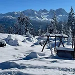 Schwaighofer Dachstein West Lejlighed *