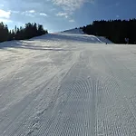 Lejlighed Schwaighofer Dachstein West