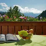 Schwaighofer Dachstein West Daire