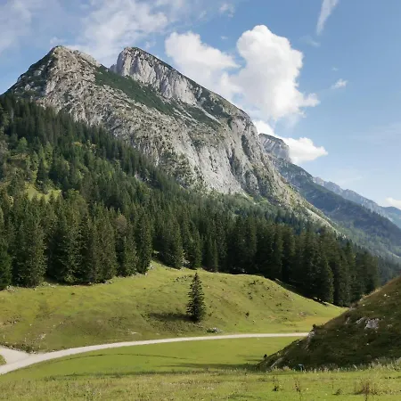 Apartment Schwaighofer Dachstein West *
