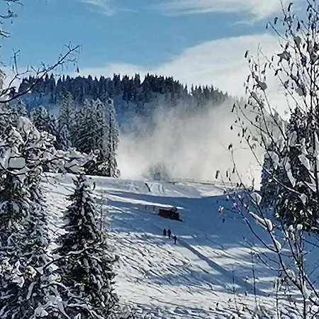 Schwaighofer Dachstein West Apartment Russbach am Pass Gschütt