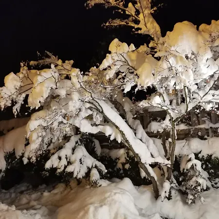 Schwaighofer Dachstein West 아파트