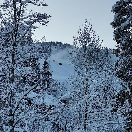 Apartment Schwaighofer Dachstein West