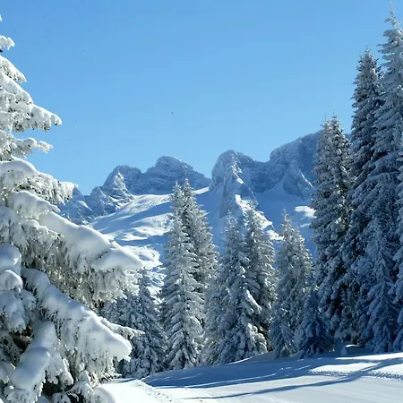 Schwaighofer Dachstein West 루스바흐 암 파스 그슈에트