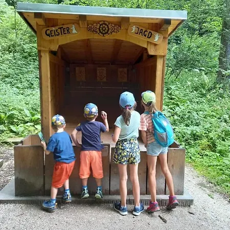 Schwaighofer Dachstein West 루스바흐 암 파스 그슈에트