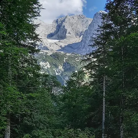 Schwaighofer Dachstein West