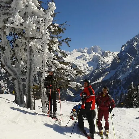 Schwaighofer Dachstein West * 루스바흐 암 파스 그슈에트
