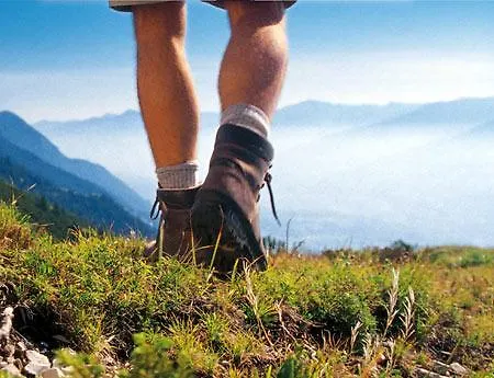 Schwaighofer Dachstein West 아파트 루스바흐 암 파스 그슈에트