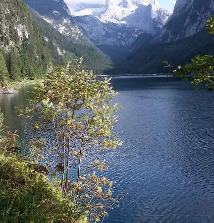 Lägenhet Schwaighofer Dachstein West