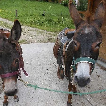 Apartamento Schwaighofer Dachstein West