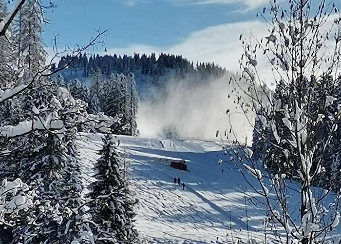 Schwaighofer Dachstein West 아파트 루스바흐 암 파스 그슈에트