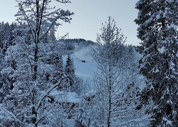 アパート Schwaighofer Dachstein West