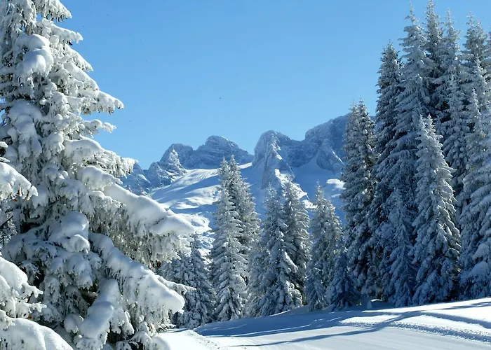 Schwaighofer Dachstein West ルスバッハ・アム・パス・クシュット