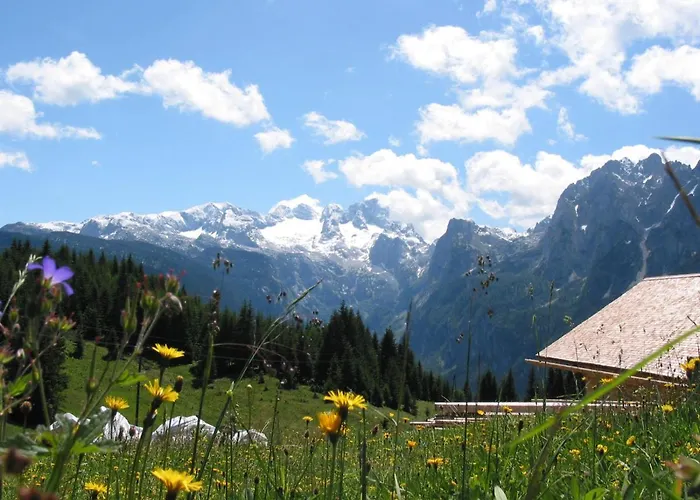 Schwaighofer Dachstein West