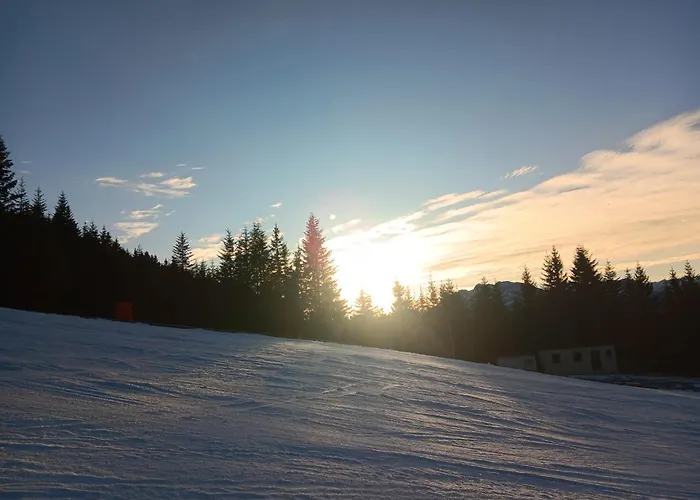 Schwaighofer Dachstein West * 루스바흐 암 파스 그슈에트