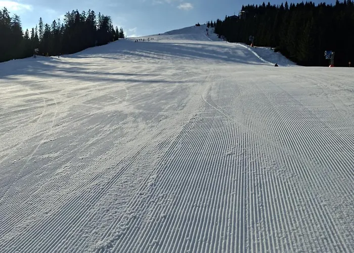 アパート Schwaighofer Dachstein West