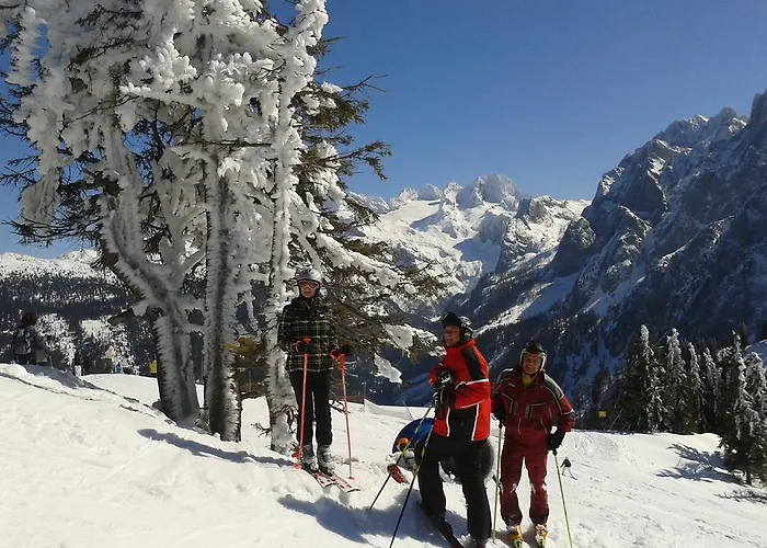 Schwaighofer Dachstein West * 루스바흐 암 파스 그슈에트