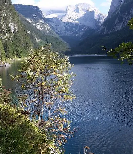 아파트 Schwaighofer Dachstein West